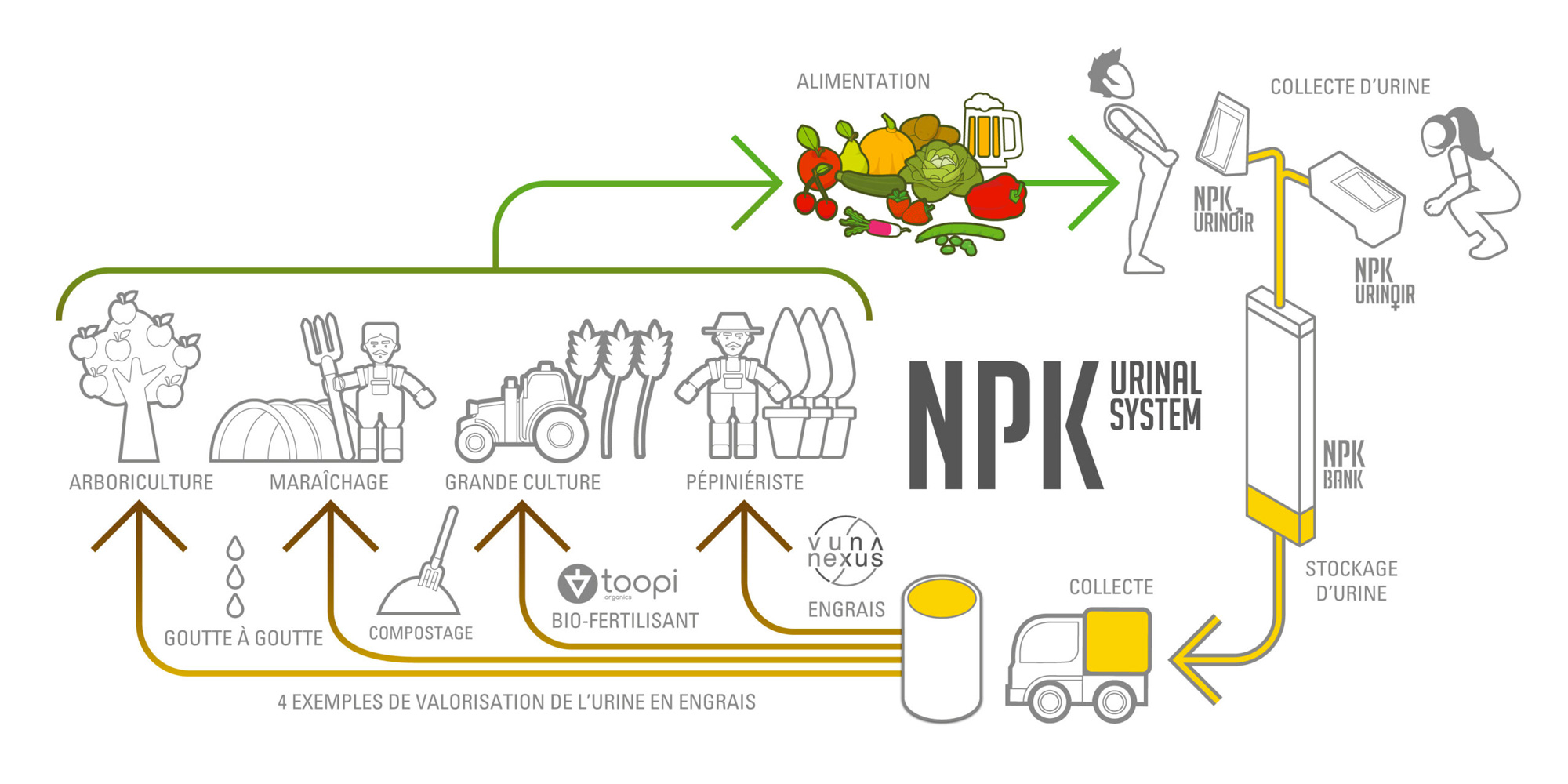 Schéma d'économie circulaire de l'urine pour le système NPK. Étapes : collecte des urines / stockage des urines / transport des urines / valorisation des urines par Toopi Organics - Vuna Nexus - Compostage - goutte à goutte