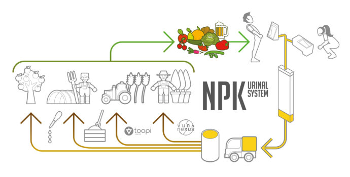 Schéma circulaire de collecte et valorisation des urines illustrant chaque étape: collecte, stockage, vidange, valorisation sous forme de fertilisants