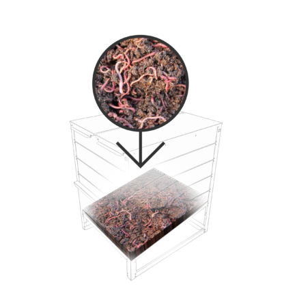 Composteur individuel Ekovore 500L illustrant à sa base une table d'ensemencement remplie des micro-organismes nécessaires à la bonne transformation des biodéchets en compost