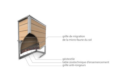 Une coupe du composteur permet de visualiser le sol vivant contenu dans la table d'ensemencement