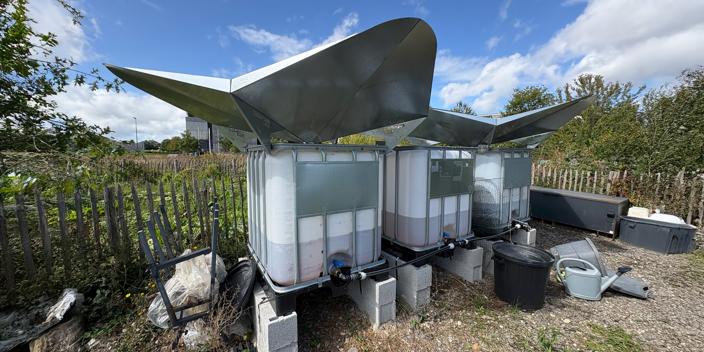 Cuves IBC installées en série avec toitures en acier galvanisé pour la collecte d’eau de pluie, entourées d’un jardin et de bacs de récupération.