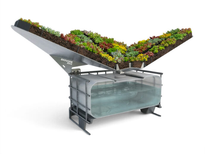 Cross-section of the Rosiluv system with sedum-covered vegetated cassettes on a roof terrace for rainwater management and urban heat island reduction