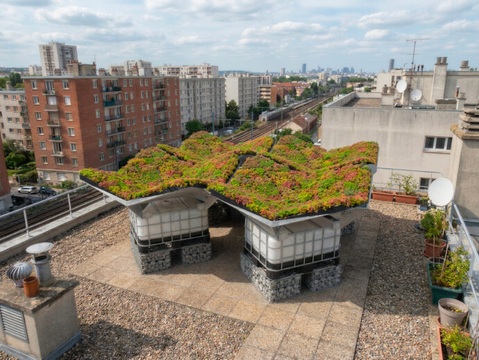 Installation of four Rosiluv units on a roof terrace with sedum cassettes, placed on IBCs for rainwater collection and creation of a sponge roof